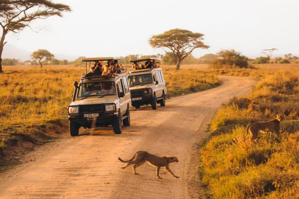 Best international off-road expeditions