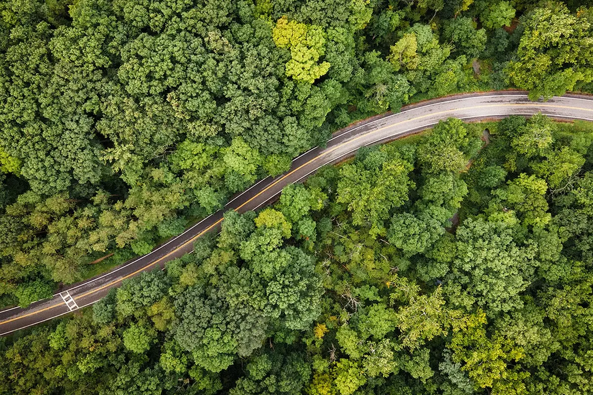 Najlepsze międzynarodowe wyprawy terenowe - Trans-Amazonka- RAYO Off-road Centrum Wrocław 